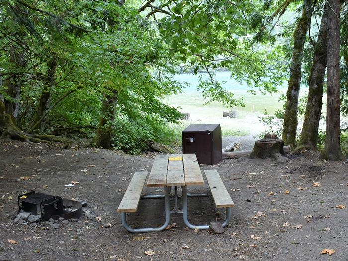 Fire ring, picnic table, and food storage lockerView of campsite