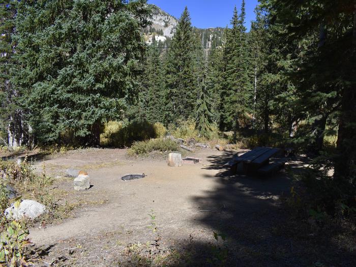 Site 7Albion Basin Campground, Little Cottonwood Canyon
