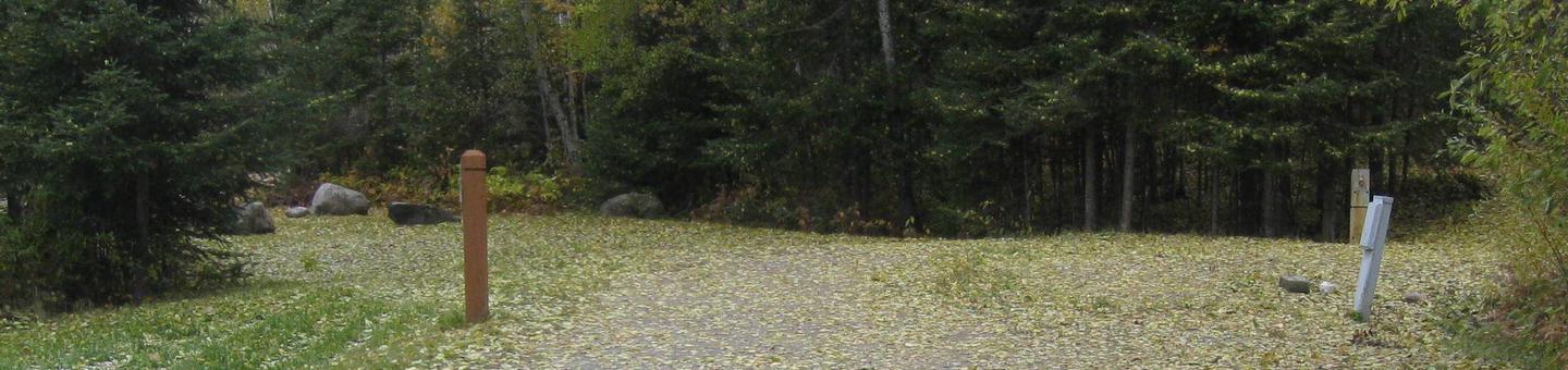 Picture of campsite.Campsite with table, fire ring, and tent pad.