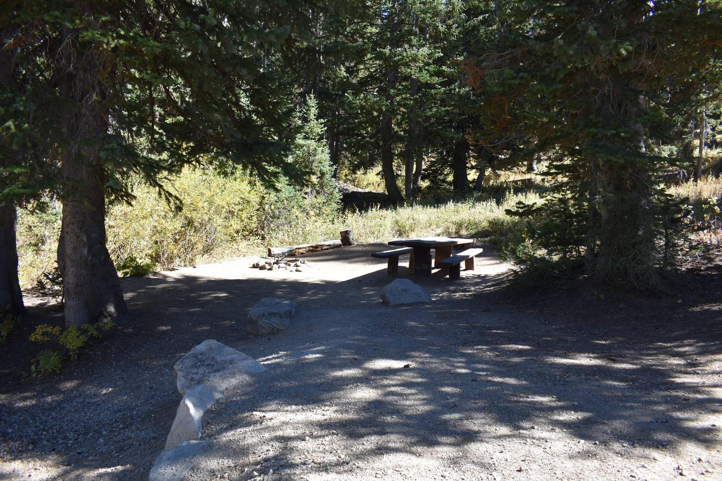 Site 8Albion Basin, Little Cottonwood Canyon