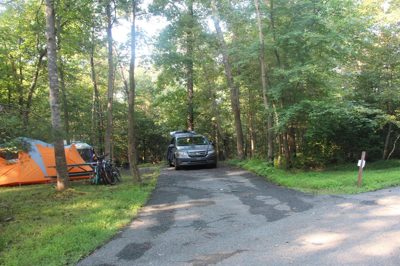 B Loop Site B 72 Greenbelt Park Maryland campground (Previously Site 73)