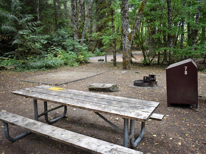 Tent pad, picnic table, fire ring, and food storage lockerView of campsite