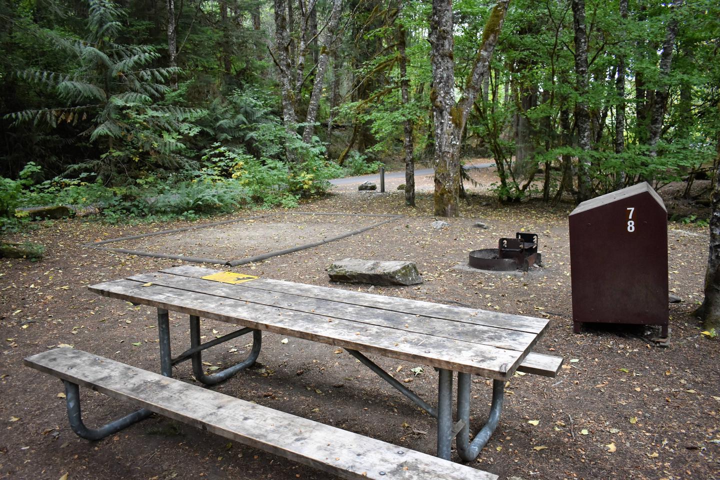 Tent pad, picnic table, fire ring, and food storage lockerView of campsite
