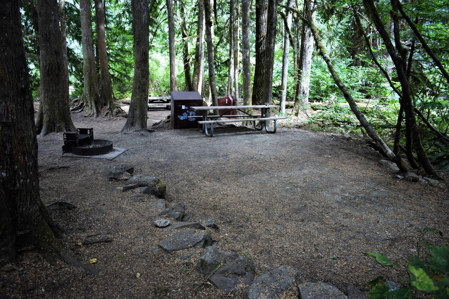 Fire ring, food storage locker, and picnic tableView of campsite