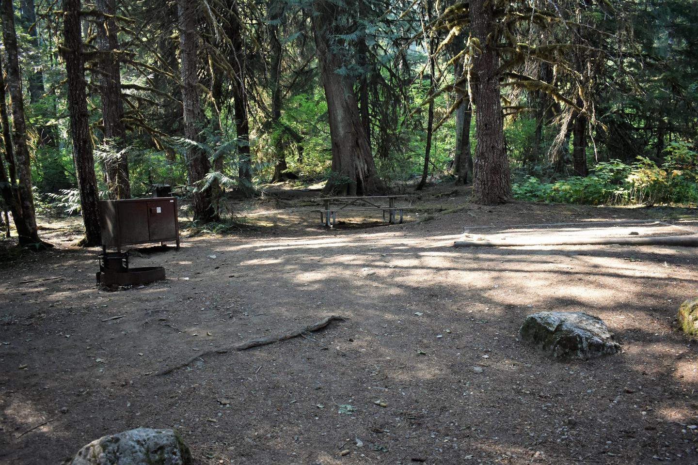Fire ring, food storage locker, picnic table, and tent padView of campsite