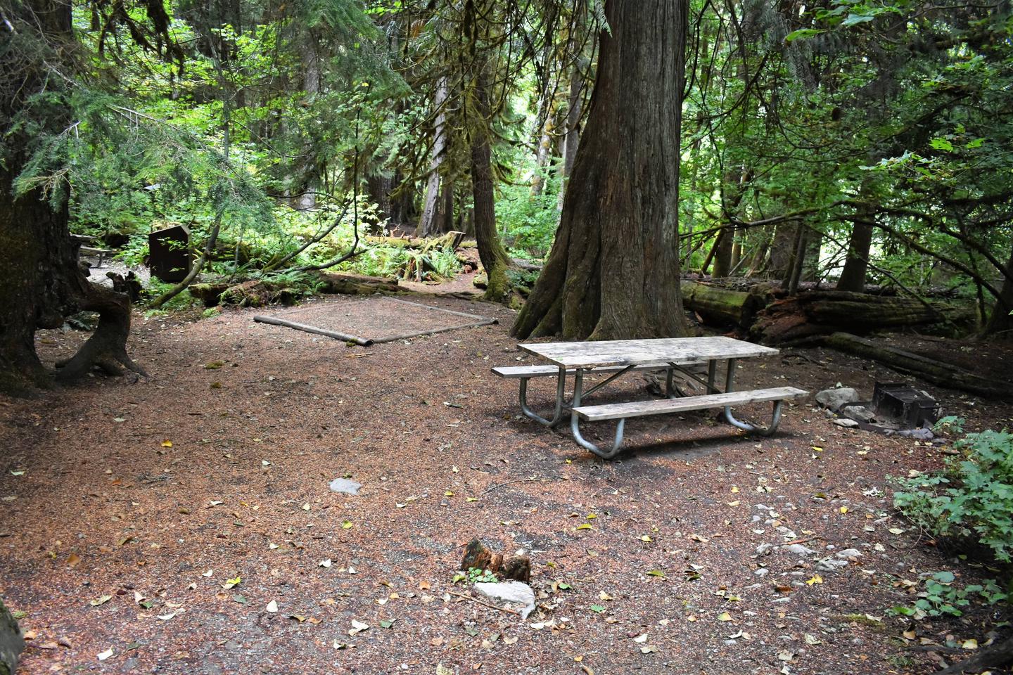 Tent pad, picnic table, and fire ringView of campsite
