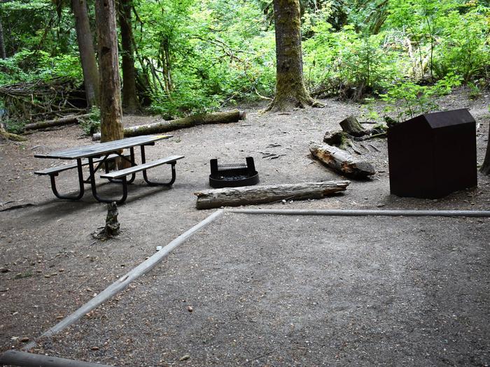 Picnic table, fire ring, tent pad, and food storage lockerView of campsite
