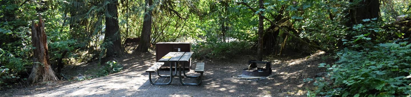 Picnic table, food storage locker, and fire ringView of campsite