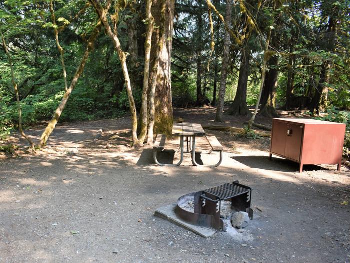 Tent area, picnic table, fire ring, and food storage lockerView of campsite