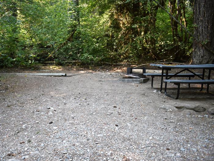 Tent pad, fire ring, and picnic tableView of campsite