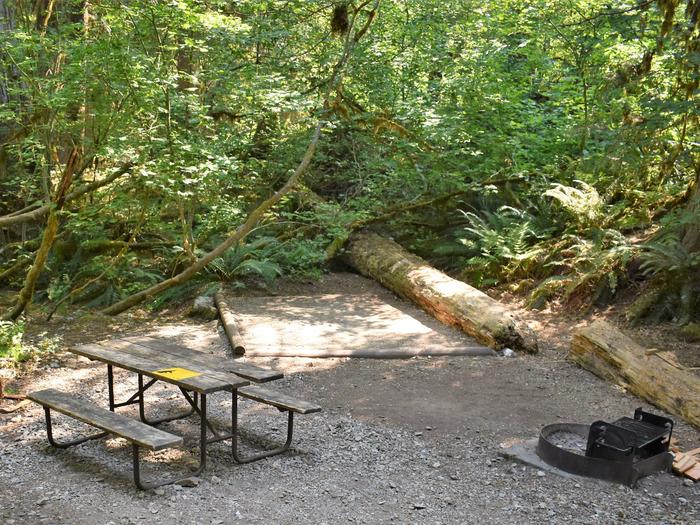 Picnic table, tent pad, and fire ringView of campsite