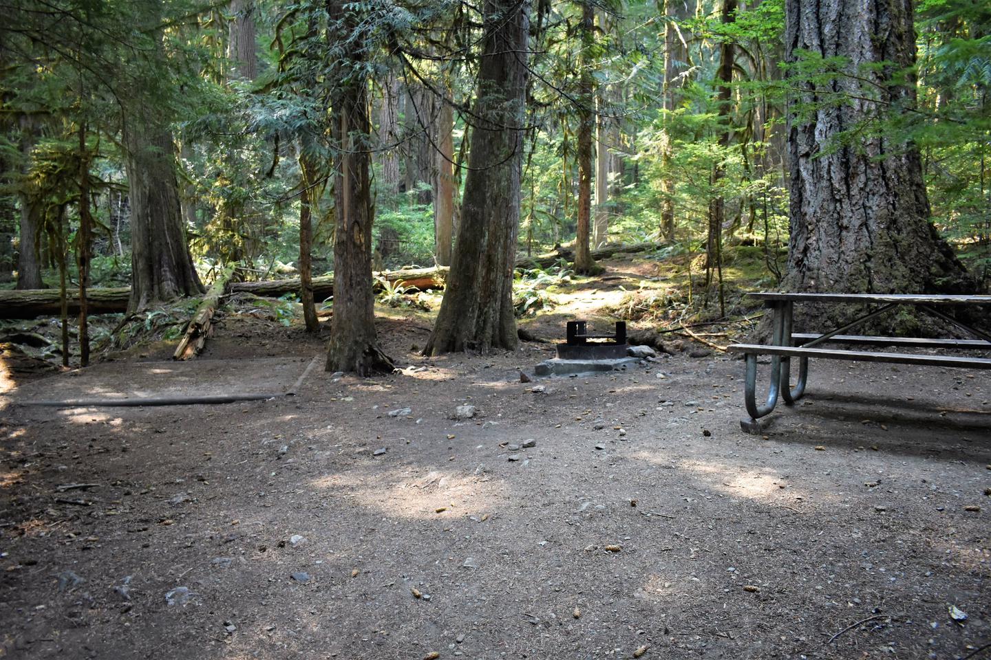 Tent pad, fire ring, and picnic tableView of campsite