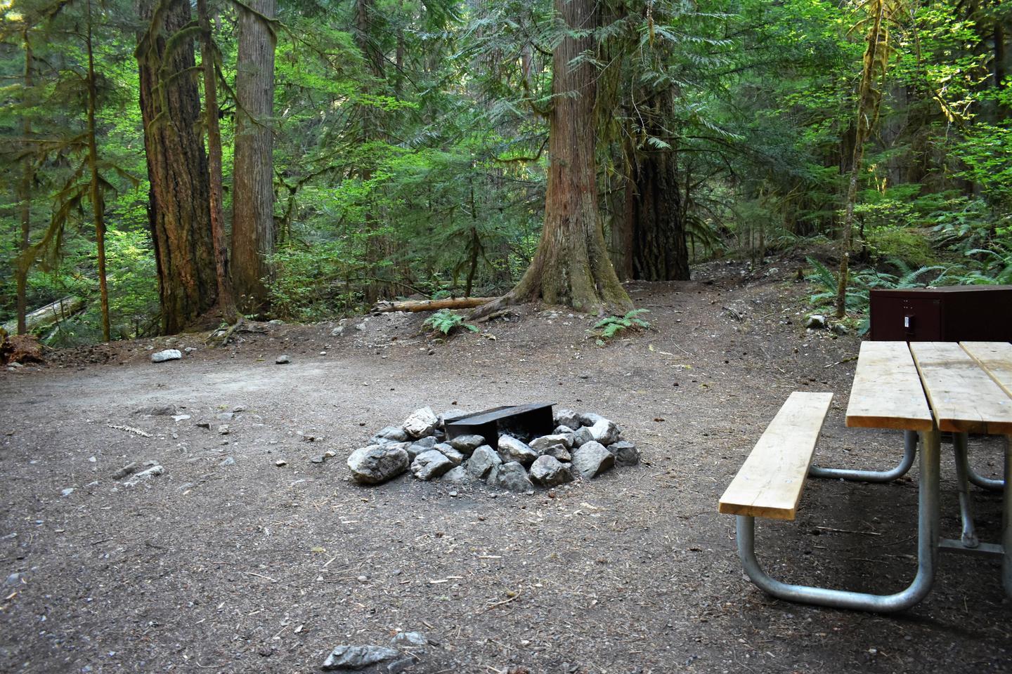 Tent area, fire ring, picnic table, and food storage lockerView of campsite
