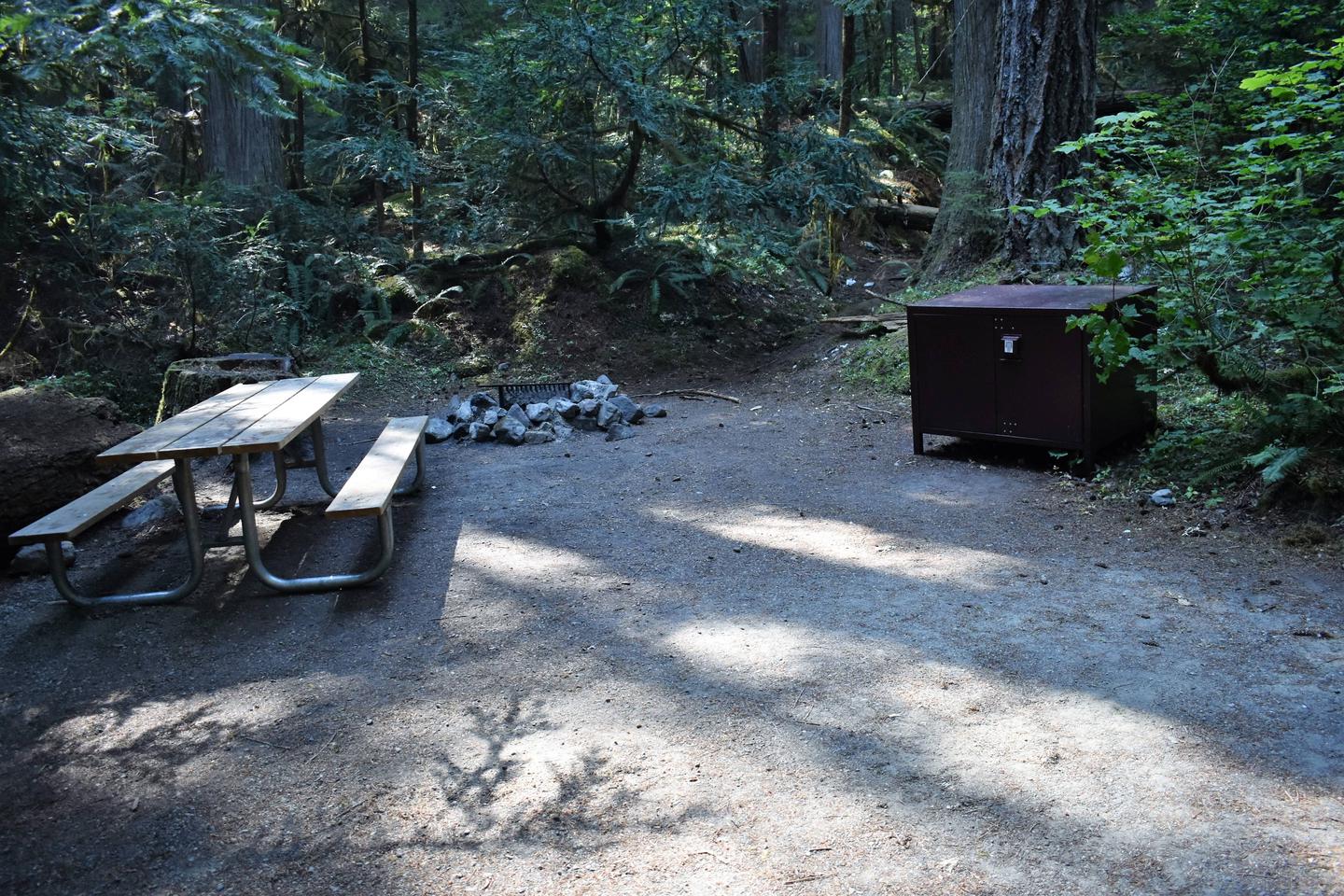 Picnic table, fire ring, and food storage lockerView of campsite