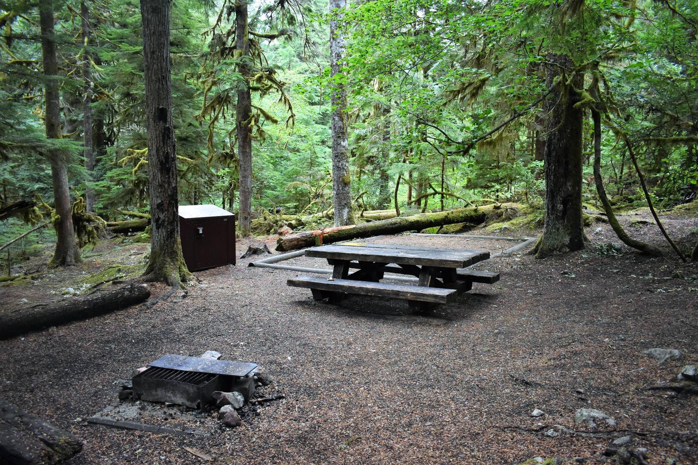 Fire ring, food storage locker, tent pad, and picnic tableView of campsite