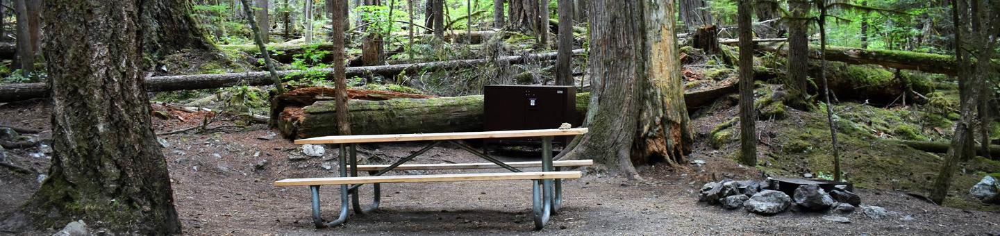 Picnic table, food storage locker, and fire ringView of campsite