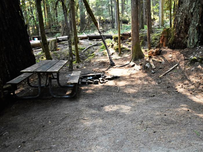 Picnic table and fire ringView of campsite