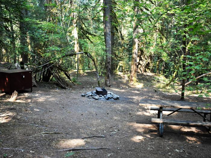 Food storage locker, fire ring, and picnic tableView of campsite