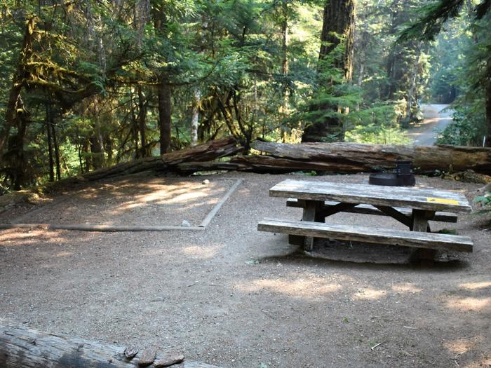 Tent pad, picnic table, and fire ringView of campsite