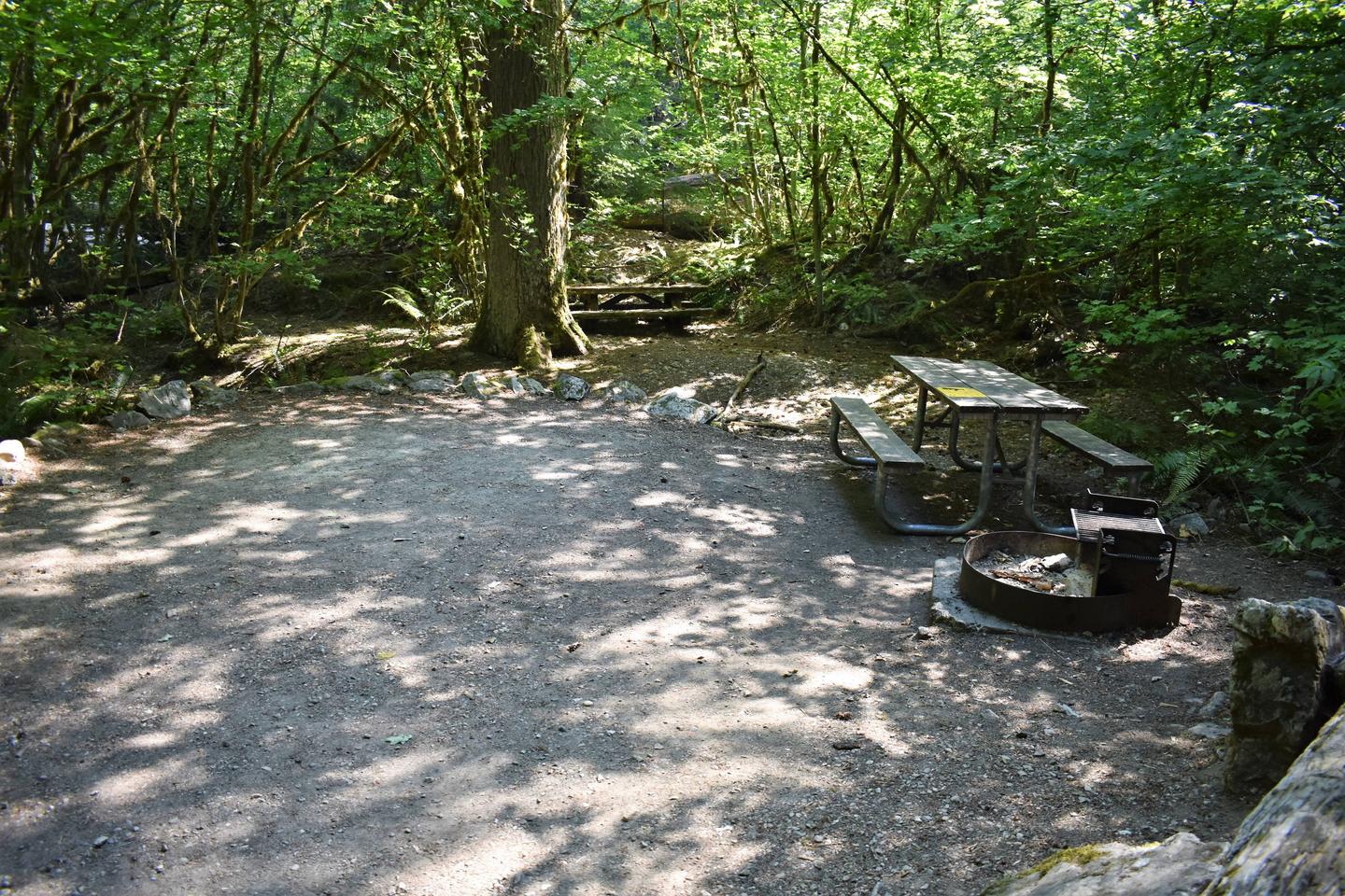 Tent area, picnic table, and fire ringView of campsite