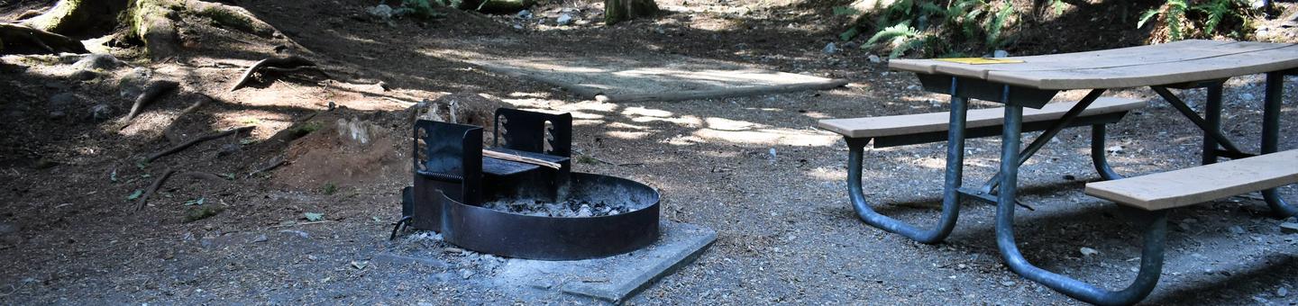 Fire ring, tent pad, and picnic tableView of campsite