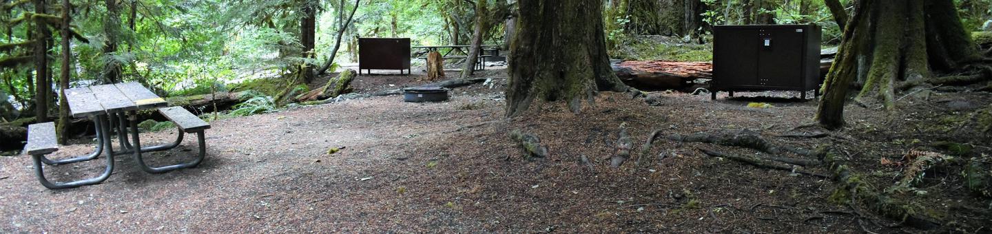 Picnic table, fire ring, and food storage lockerView of campsite