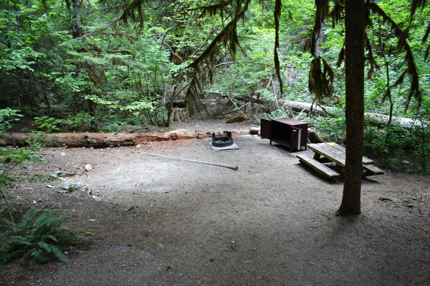 Tent pad, fire ring, food storage locker, and picnic tableView of campsite