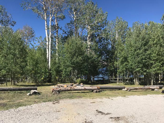 Willow Lake Campground #1