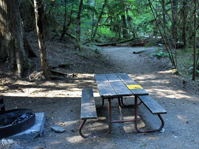 Fire ring, picnic table, and tent padView of campsite