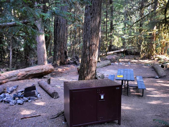 Fire ring, food storage locker, picnic table, and tent areaView of campsite
