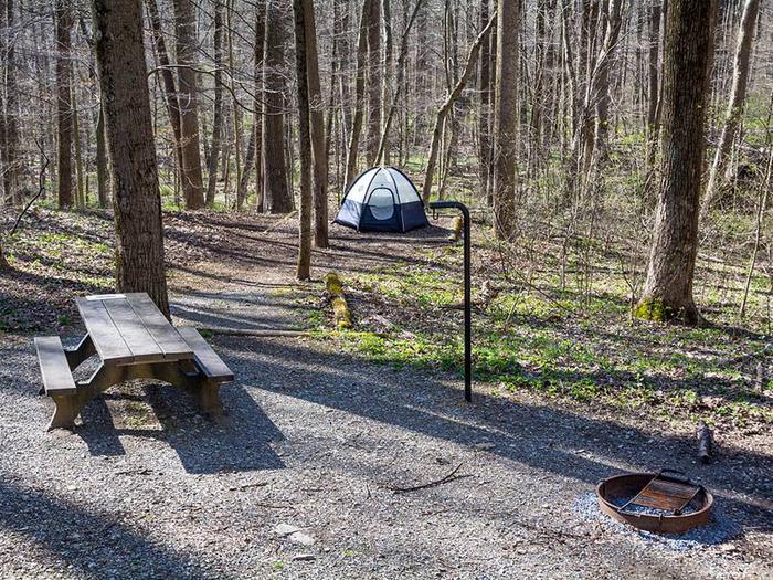 campsite with picnic table, tent pad, fire ring, and blue tentOwens Creek Site #14
