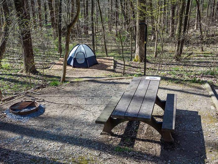 campsite with picnic table, tent pad, fire ring, and blue tentOwens Creek Site #15