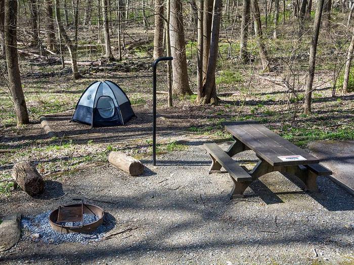 campsite with picnic table, tent pad, fire ring, and blue tentOwens Creek Site #16