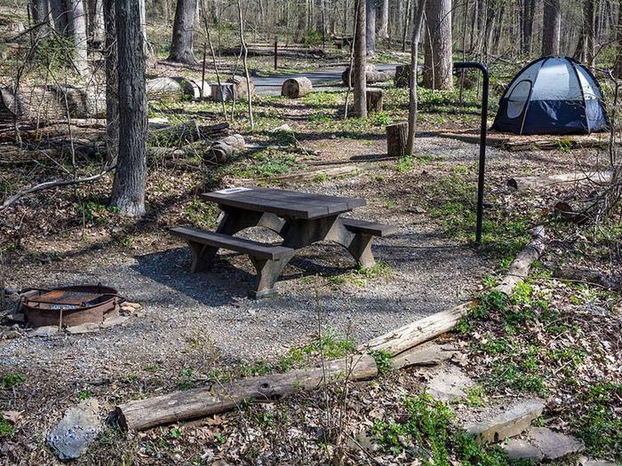 campsite with picnic table, tent pad, fire ring, and blue tentOwens Creek Site #17