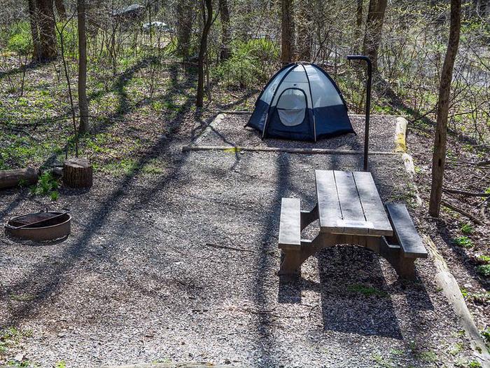 campsite with picnic table, tent pad, fire ring, and blue tentOwens Creek Site #19
