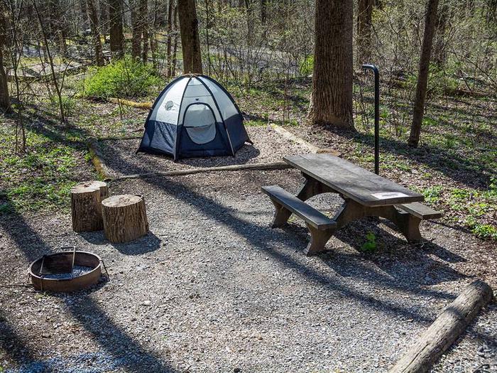 campsite with picnic table, tent pad, fire ring, and blue tentOwens Creek Site #21