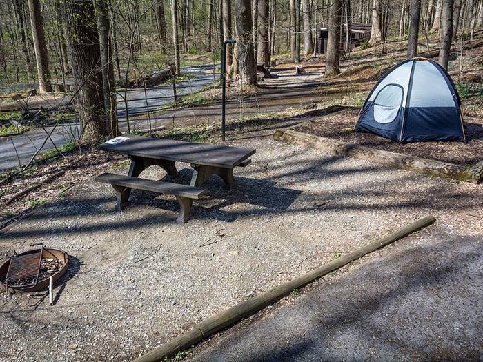 campsite with picnic table, tent pad, fire ring, parking area and blue tentOwens Creek Site #22