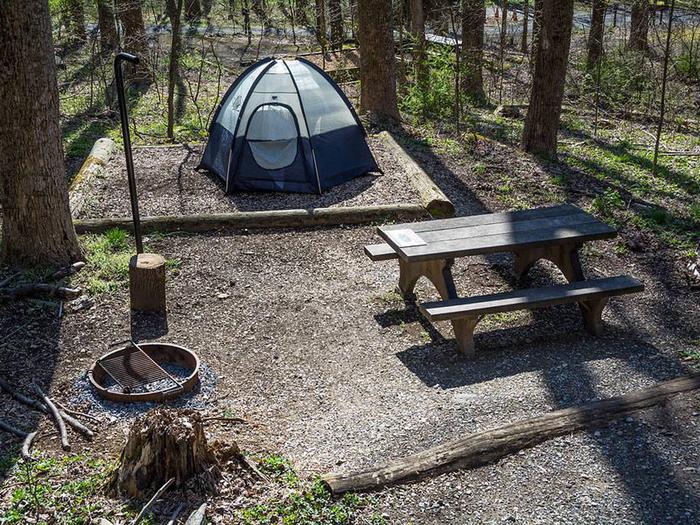 campsite with picnic table, tent pad, fire ring, and blue tentOwens Creek Site #23