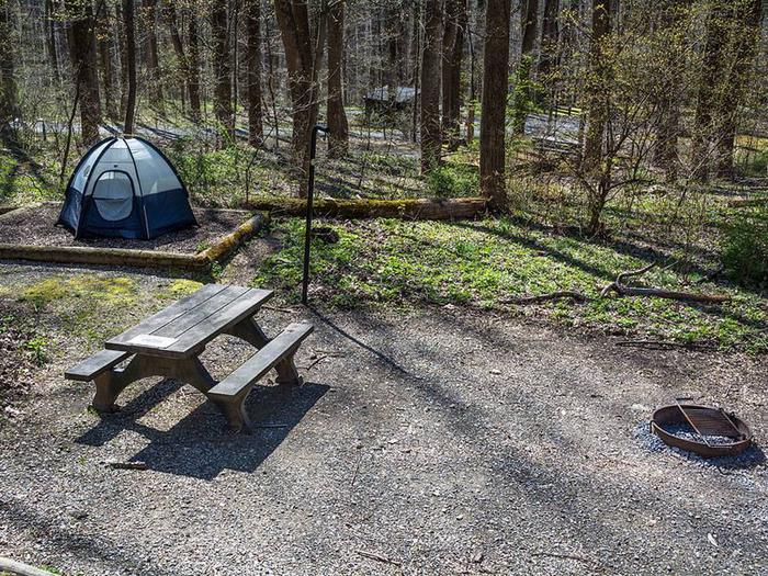 campsite with picnic table, tent pad, fire ring, and blue tentOwens Creek Site #24