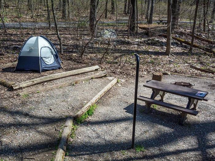 campsite with picnic table, tent pad, fire ring, and blue tentOwens Creek Site #26