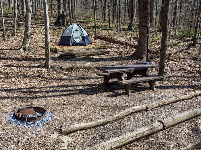 campsite with picnic table, tent pad, fire ring, and blue tent and steps leading up to the siteOwens Creek Site #27