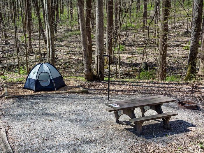 campsite with picnic table, tent pad, fire ring, and blue tentOwens Creek Site #29