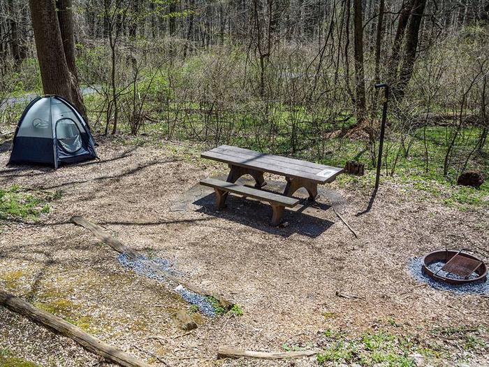 campsite with picnic table, tent pad, fire ring, and blue tentOwens Creek Site #51