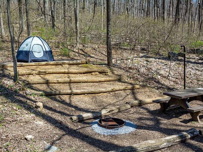 campsite with picnic table, tent pad, fire ring, and blue tent and wooden steps up to the tent padOwens Creek Site #49