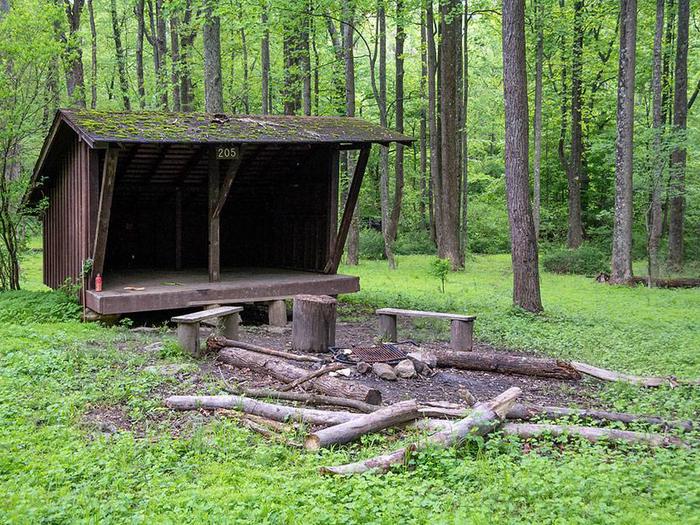 adirondack shelter with fire ring and wooden benches