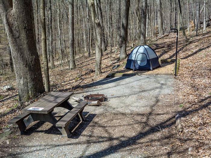 campsite with picnic table, fire ring, tent pad and blue tentOwens Creek Site #32