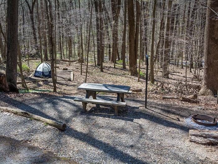 campsite with picnic table, fire ring, stairs leading down to tent pad and blue tentOwens Creek Site #33
