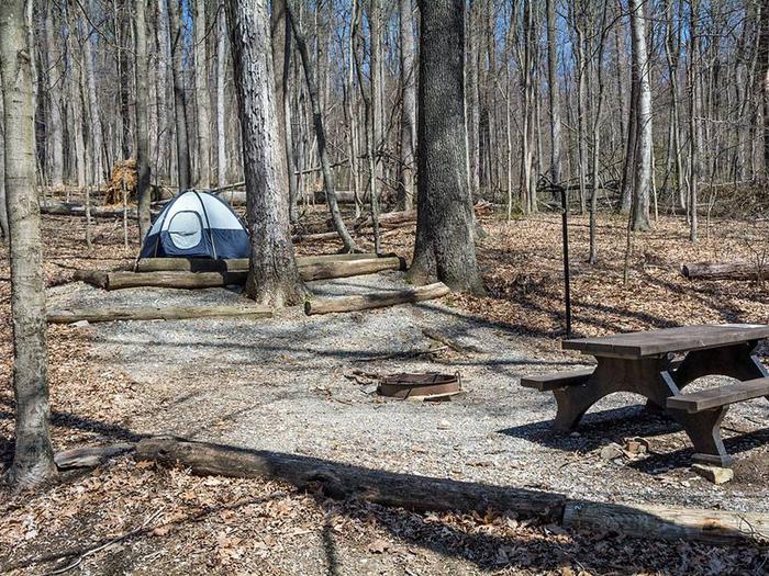 campsite with picnic table, fire ring, stairs leading up to tent pad and blue tentOwens Creek Site #35