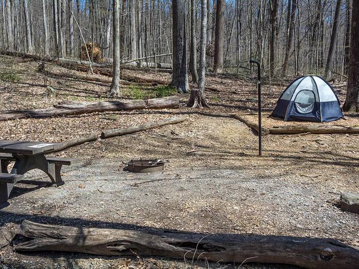 campsite with picnic table, fire ring, tent pad and blue tentOwens Creek Site #34