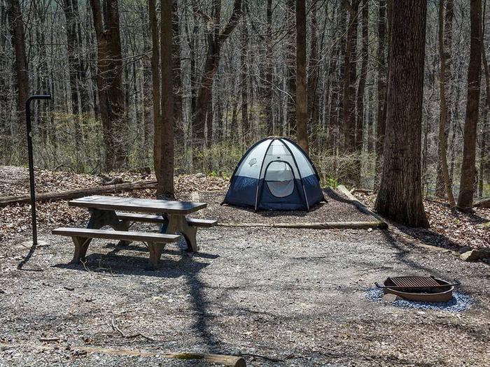 campsite with picnic table, fire ring, tent pad and blue tentOwens Creek Site #36